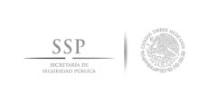 Secretaria de Seguridad Publica logotipo