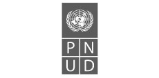 pnud logotipo