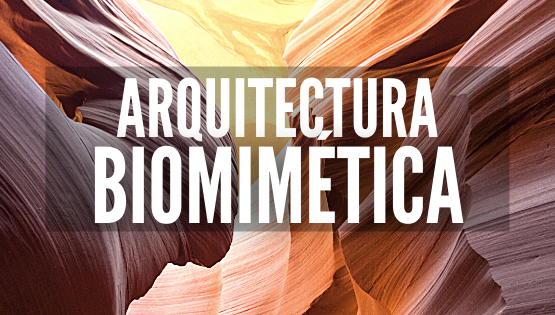 Biomimetismo-portada-tahm-arquitectura
