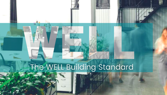 Certificacion-WELL-tahm-arquitectura