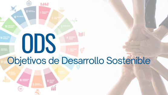 ODS-tahm-arquitectura