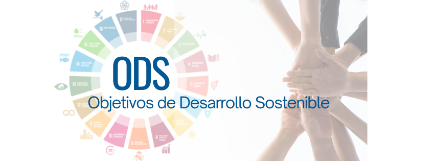 ODS-tahm-arquitectura