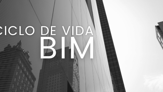 ciclo de vida proyecto BIM tahm arquitectura