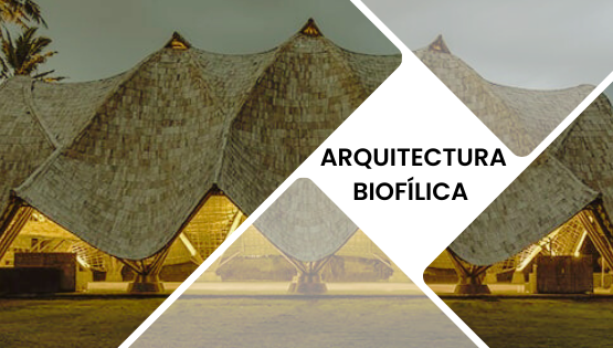 Arquitectura-biofilica-tahm-arquitectura