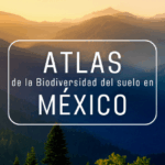 Biodiversidad_en_mexico_tahm_arquitectura