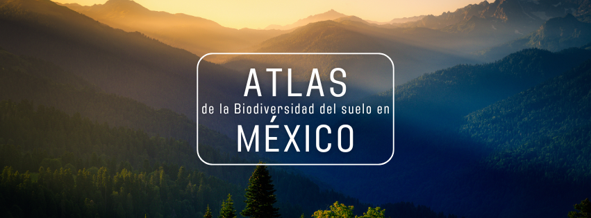 Biodiversidad_en_mexico_tahm_arquitectura